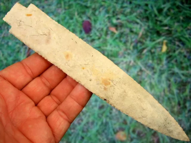 Large Super Fine 8 1/16 inch Grade 10 Tennessee Benton Point T&T COA Arrowheads