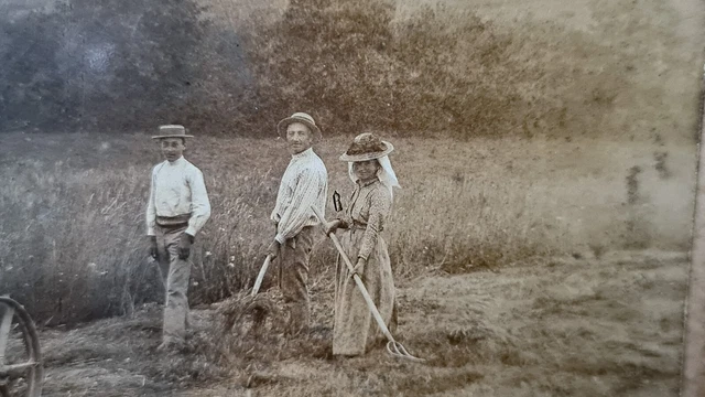 Antique Photo cliché image Le travail aux champs en famille chevaux moisson 3