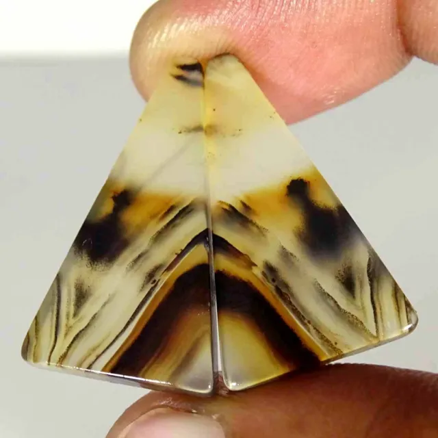 32.70Cts Natural Montana Agate Pair Loose Gemstone Shape Fancy Size 17x30x5mm