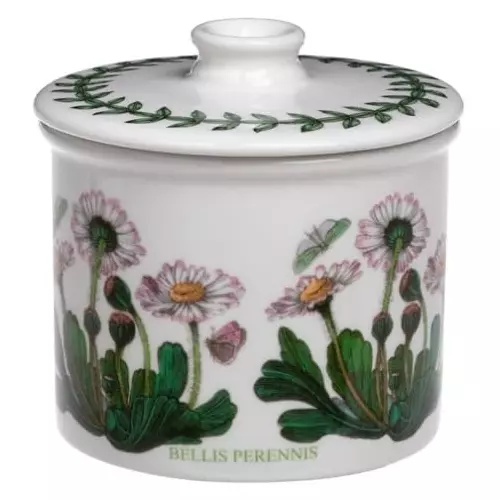 Portmeirion Botanic Garden Drum Shaped Covered Sugar Bowl, 7 oz - Daisy