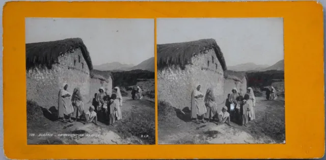 Argérie Kabylie Kabyles Foto Stereo PL47 Vintage Analog c1900