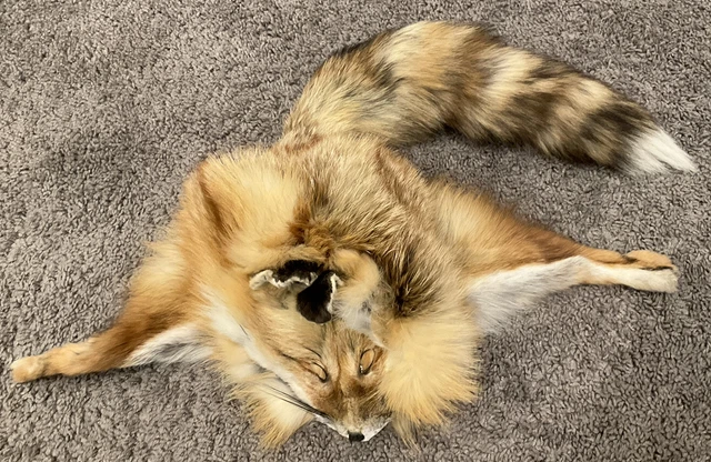 Kids Red Fox Fur Trapper Hat REAL FUR Kids Red Fox Fur Trapper Hat REAL FUR