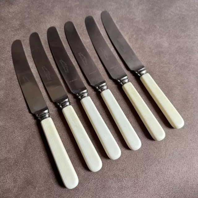 SET OF 6x VINTAGE ROUND TIP COOPER BROS FAUX BONE HANDLED BUTTER ENTREE KNIVES