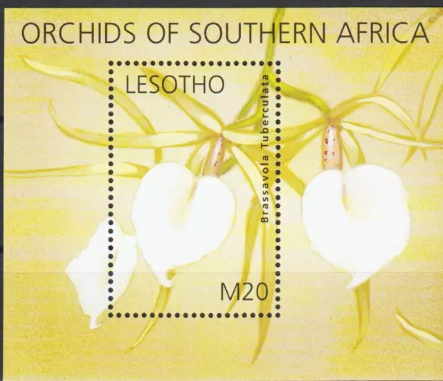 Lesotho 2002 Flowers Orchids Plants Flora Nature m/s MNH