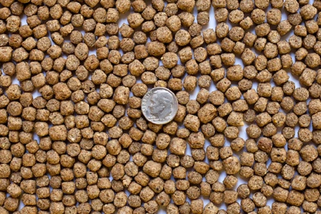 America's Best Koi Food 20 lbs Koi Fish Food 3/16 Inch - 1/4 Inch Large Floating
