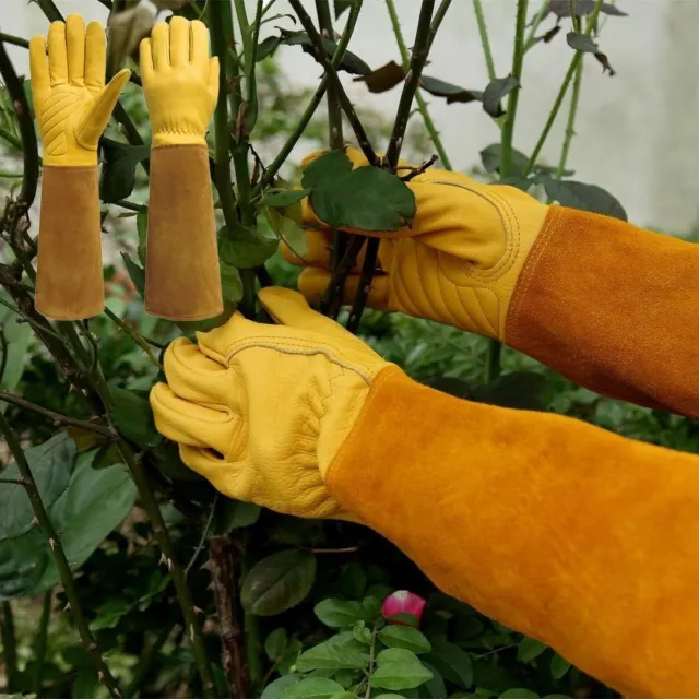 Preuve d'épine Gants de jardinage Cuir Gants à manches longues