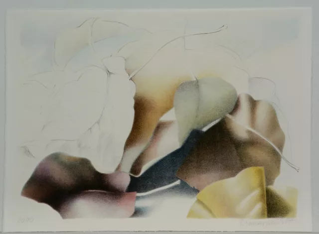 Rosemarie Würth, Lithografie, handsigniert/70 Exem./1987,