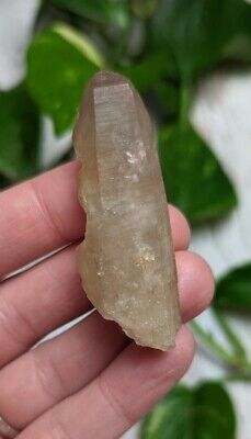 2.2" Rare CITRINE Untreated Crystal Point S10 Charged Zambia 24g *Read Below*