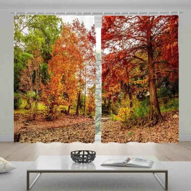 Wonderful Colorful Woods 3D Blockout Photo Print Curtain Fabric Curtains Window