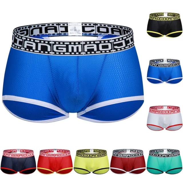 Trendy Men's Nylon Boxer Briefs Underwear Mesh Trunks Underpants Shorts Panties