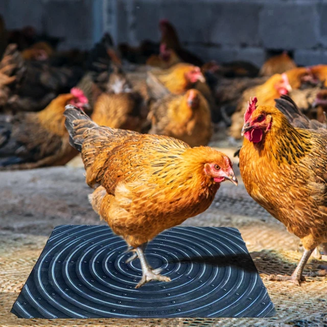 Chicken Nest Box Pads Durable Laying Mats Soft Poultry Mat