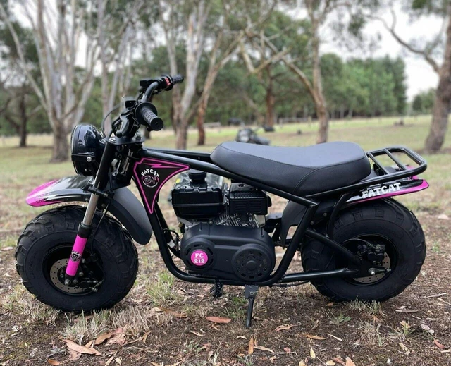 Motorbike, FatCat Offroad Fat Wheel Mini Bike, all terrain motorbike. Pink