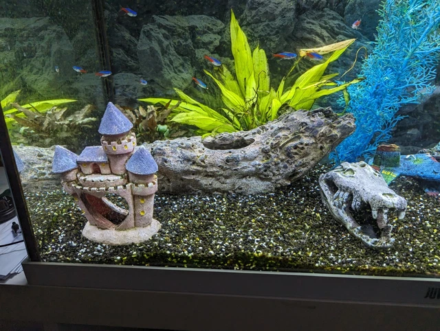 Juwel Rio fish tank 125 LED with ornaments and Algae Killing machine 3