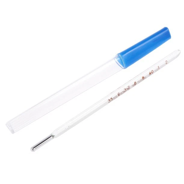 Mercury Thermometer House Clinical Thermometer Oral Axillary Body Temperat-tz