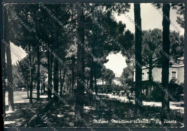 Carte Postale Ancienne - Savona Noli Auto Foto FG - ZK3091 - Italie