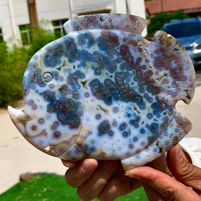 345G  Amazing Natural Ocean Jasper Crystal Carved Fish Jasper Halo Stone 19