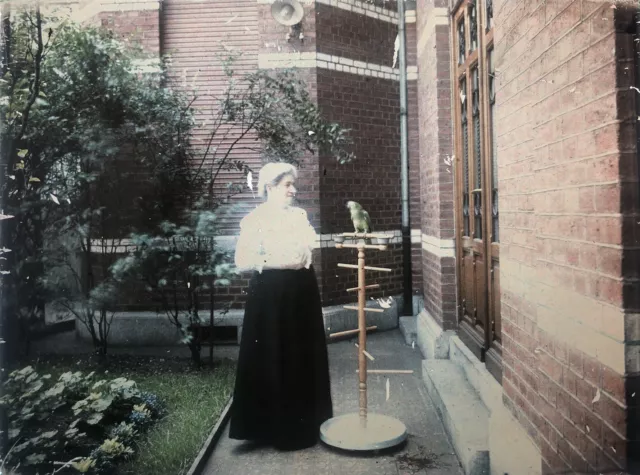 PORTRAIT DAME DANS JARDIN PARIS 1909 AUTOCHROME LUMIERE PLAQUE VERRE 9x12