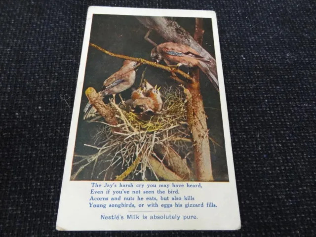 Nestles Swiss Milk Advertising Postcard Jay Birds - 82472