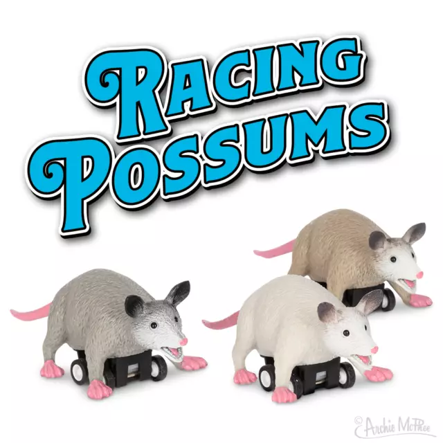 Archie McPhee - Pull Back Racing Possums