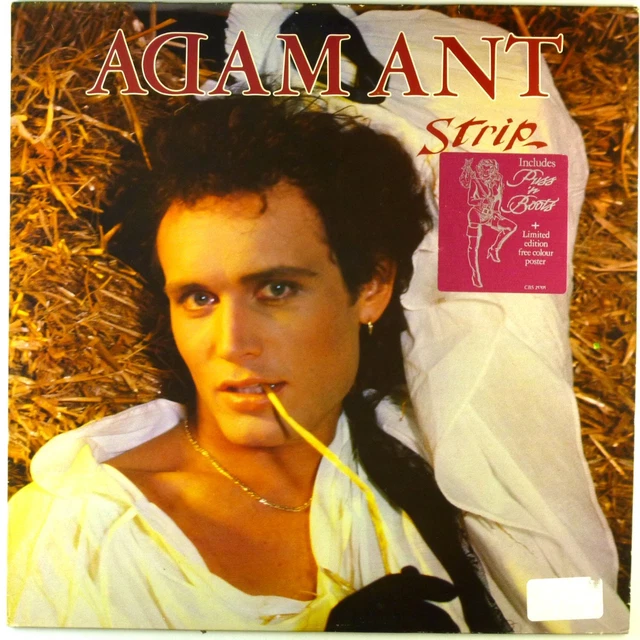 12 " LP - Adam Ant - Strip - B5040 - Cleaned £12.02 - PicClick UK