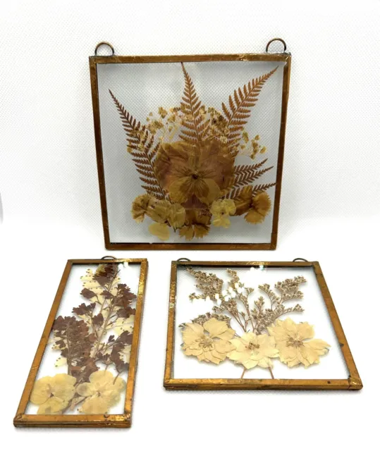 Juego de 3 bordes de metal de cobre vintage de flores secas prensadas entre vidrio