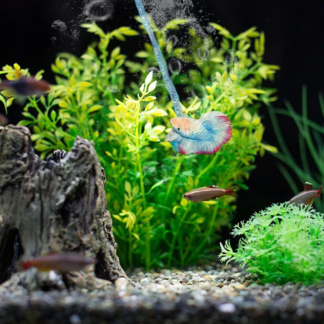 Fish Tank Training Toy Artificial Aquarium Decor Fish Tank Training Teaser Wand