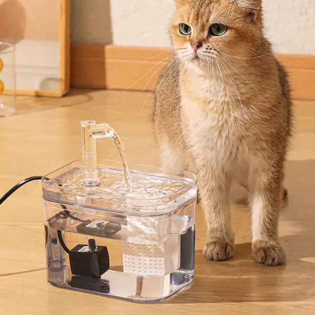 Distributeur de nourriture pour chat, bol à boire Durable de grande