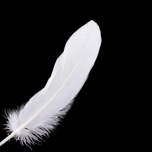 Decorate Material Home DIY Beautiful Brooch 100pcs Natural Goose Feathers White