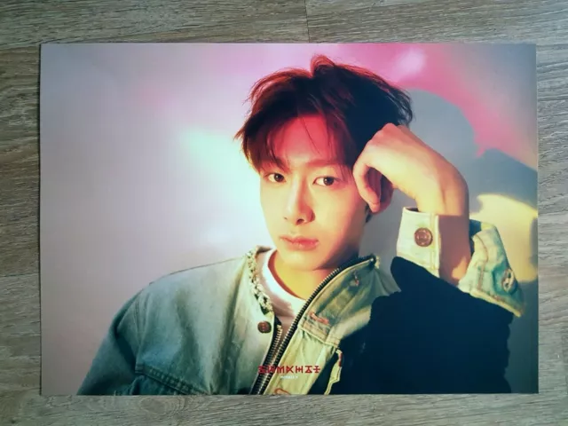 K-POP Monsta X HYUNGWON Limited Poster - Official The First World Tour Beautiful