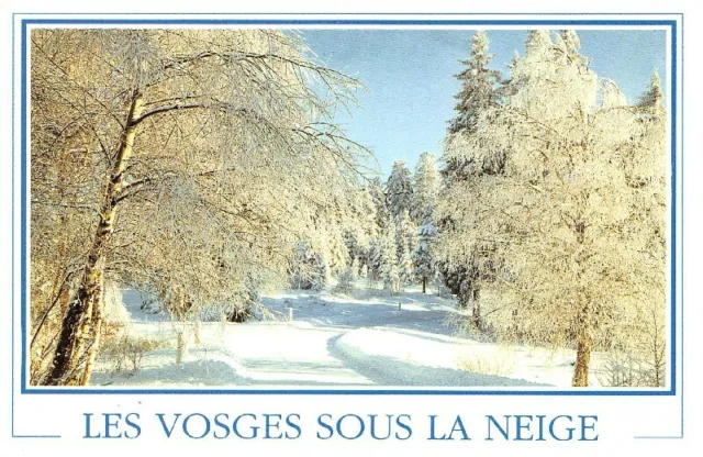 Les Vosges - sous la neige