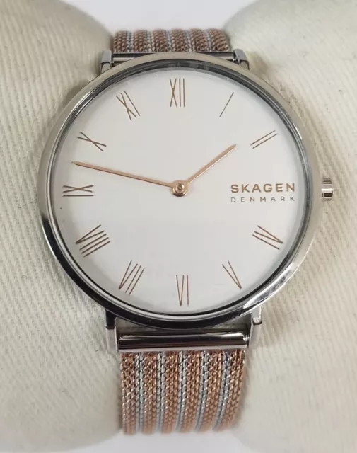 Skagen Hald Women's Two-Tone Stainless Steel Mesh Band Watch SKW2815