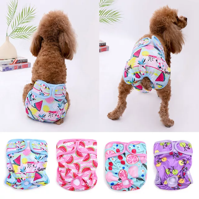 Femenino Perro Bragas Pañales Fisiológico Pantalón Cachorro Ropa Interior 3