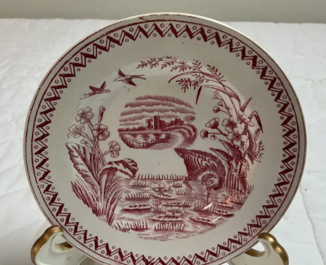 Antique Children’s Plate, Pinkish Red, White, Birds, Flowers, Water Hen, England 3