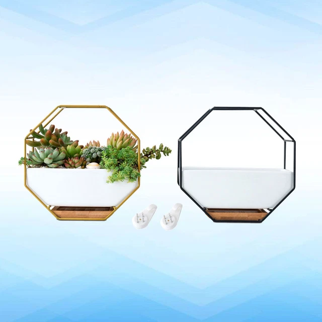Octagonal Geometric Storage Rack Hanging Wall Glass 6