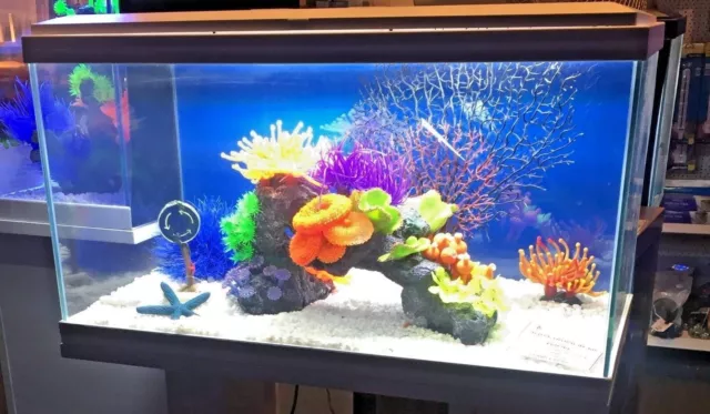 White Tropical Glass Aquarium Fish Tank Kit Inc Filter LED Lights Heater 58L
