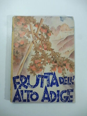 LA SERENISSIMA VERSO I TERMINI SACRI ETTORE TOLOMEI L'ALTO ADIGE BOLZANO 1934 