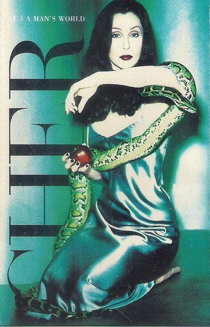 Cher - It's A Man's World - Used Cassette - Z5870z