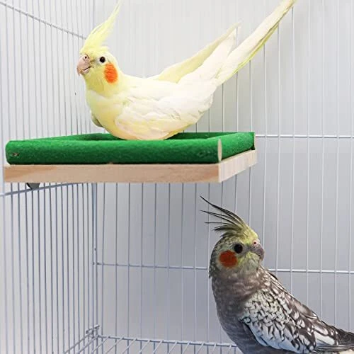 Bird Wooden Perch Stand, Bird Feeder Toy, Natural Wooden Bird Cage Green