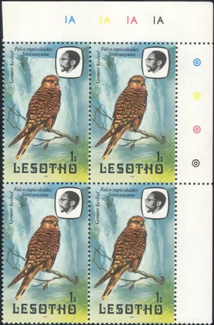 Lesotho 1981 Birds/Natura/Fauna selvatica/Greater Kestrel/Cascata 4x1v c/b (a32a)