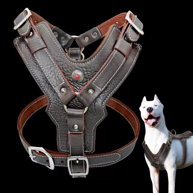 Hundegeschirr Leder Softgeschirr Braun geschirr Mit Griff französische bulldogge