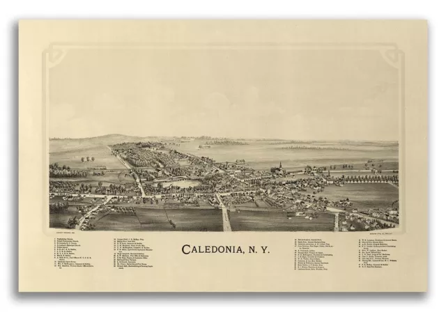 Caledonia New York 1892 Historic Panoramic Town Map - 24x36