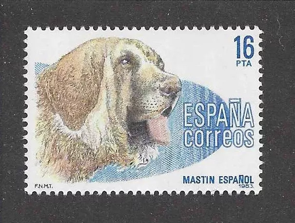 Dog Art Head Study Portrait Postage Stamp SPANISH MASTIFF Spain 1983 MNH