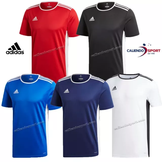 T-Shirt Adidas Entrada18 Climalite Vari Colori Sport