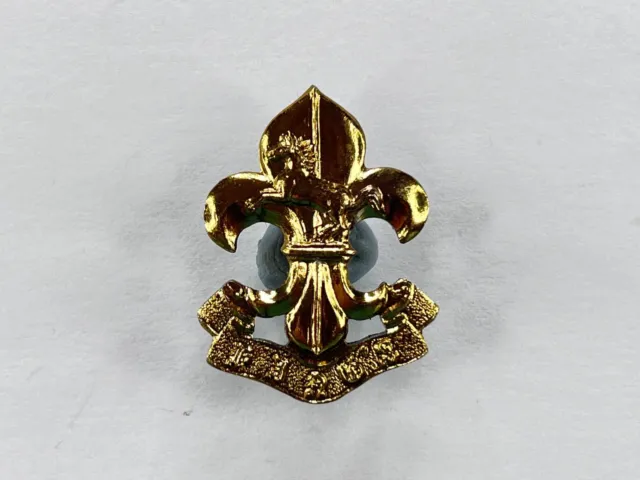 The Kings Liverpool Manchester Regiment Staybrite Gold tone Collar Badge 33x25mm