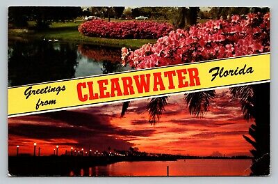 Postcard FL Banner Greetings From Clearwater Florida Dual-View Sunset Flowers