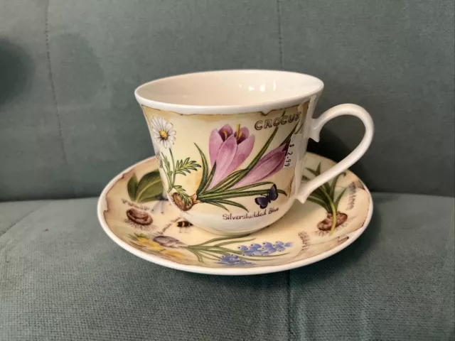 Roy Kirkham Breakfast Size Cup And Saucer Flora Botanica Floral Flowers