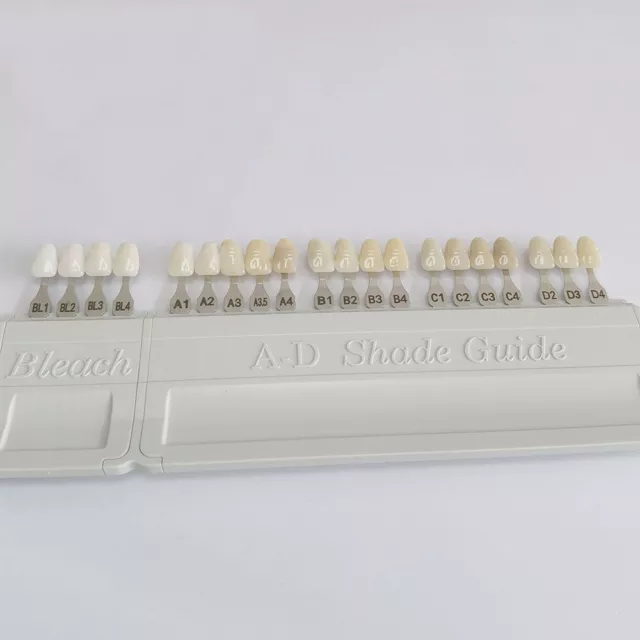 lvoclar Vivadent Dental Teeth Shade Guides A-D 20 Colors Porcelain Tooth IPS Die