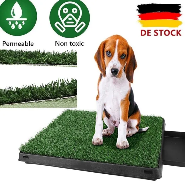 Toilette per cani lettiera per cuccioli 63x50 cm lettiera per cani con erba sintetica base di allenamento