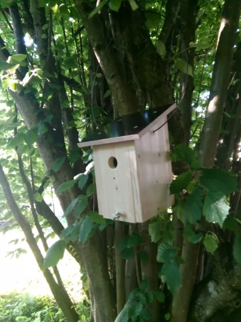 Bausatz Meisenkasten Star Vogelhaus Nistkasten Meisenkobel nur Aufhängung Halbhö