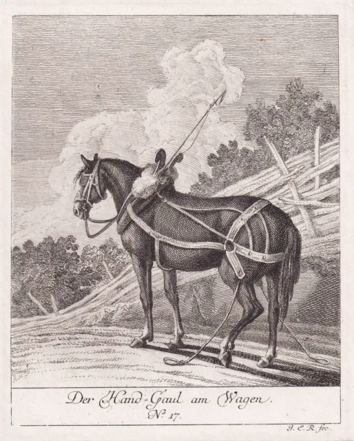 Pferd horse Kupferstich engraving Augsburg J. E. Ridinger 1760